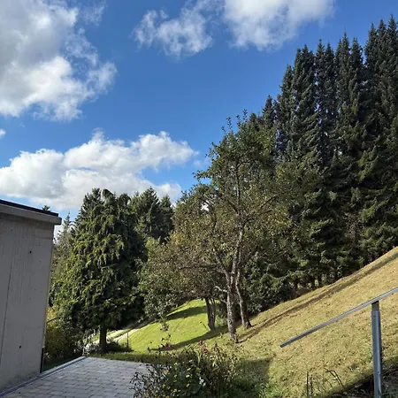 Apartment In Bodenseenaehe Muhlingen